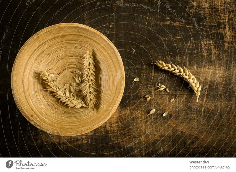 Wheat ears and grains on wooden bowl and wood food and drink Nutrition Alimentation Food and Drinks copy space close-up close up closeups close ups close-ups