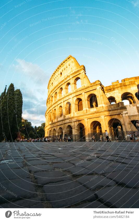 Colosseum in the evening light Sunlight Rome Rome Colosseum Paving stone illuminated Sky Italy Historic Architecture Exterior shot Tourist Attraction Europe