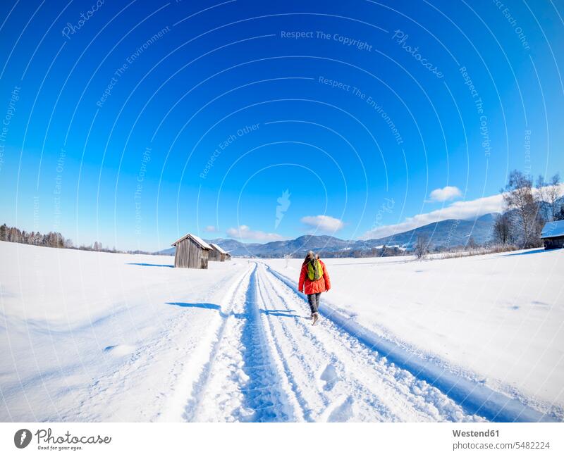 Germany, Bavaria, woman hiking on trail from Kochel am See to Benediktbeuern Abbey in winter walking going outdoors outdoor shots location shot location shots
