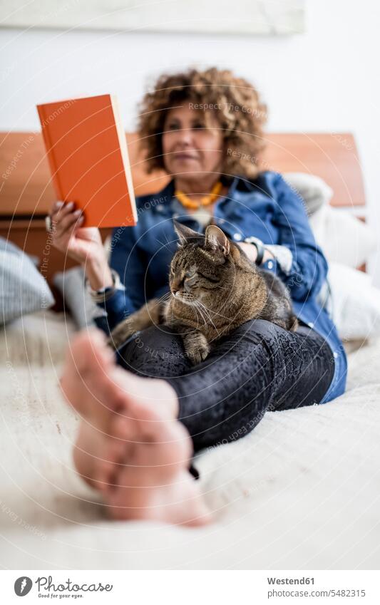Woman with cat on bed reading book cats books woman females women pets animal creatures animals Adults grown-ups grownups adult people persons human being