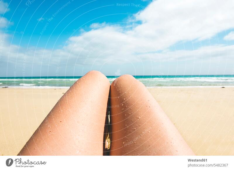 Female legs with water drops on the beach caucasian caucasian ethnicity caucasian appearance european female holidaymaker female tourist female tourists