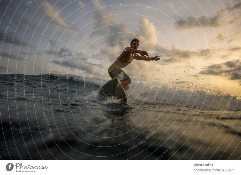 Indonesia, Bali, surfer at sunset wave waves surfers Sea ocean surfing surf ride surf riding Surfboarding water water sports Water Sport aquatics sunsets