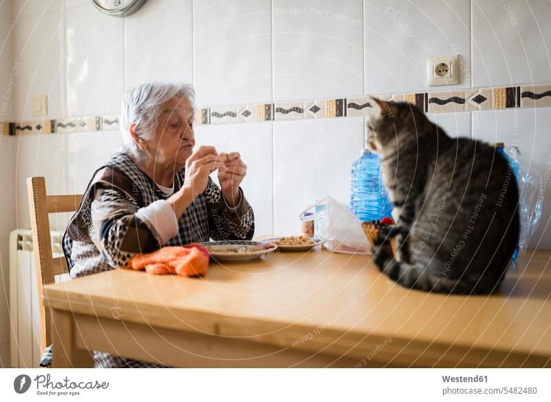 Senior woman eating while the cat watching her caucasian caucasian ethnicity caucasian appearance european owner Dining Table Dinner Table Dining Tables candid