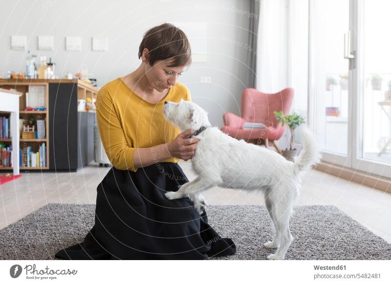 Woman playing with her dog in the living room dogs Canine living rooms livingroom woman females women pets animal creatures animals domestic room domestic rooms