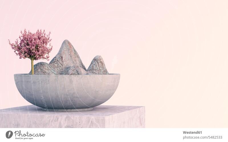 Tree and mountains in zen bowl on marble stand Idea Ideas fragility fragile pink Rosy Asian Asiatic Asian Culture Growth growing Cherry Blossom Cherry Blossoms