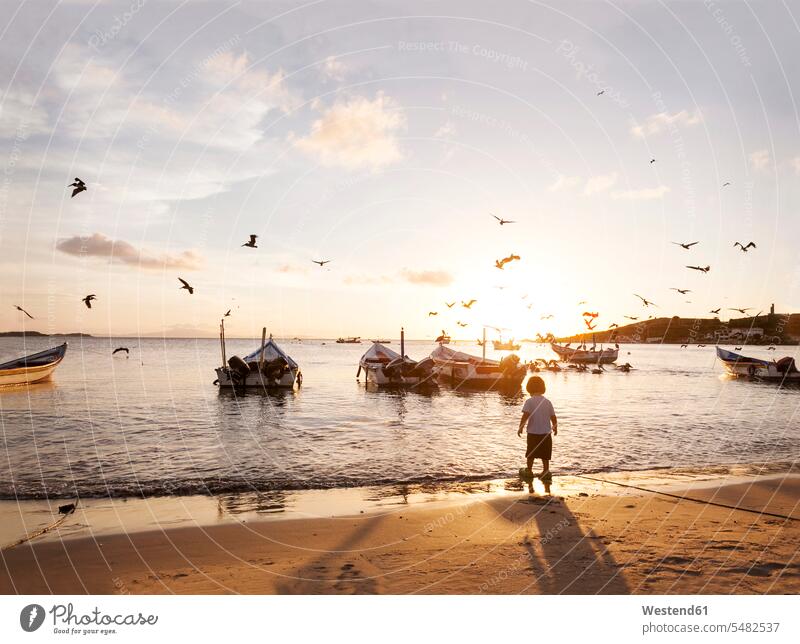 Venezuela, Isla Margarita, Juan Griego, back view of little boy standing at seafront by sunset summer summer time summery summertime outdoors outdoor shots