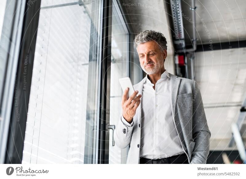 Smiling mature businessman standing at the window in office holding cell phone windows smiling smile offices office room office rooms mobile phone mobiles
