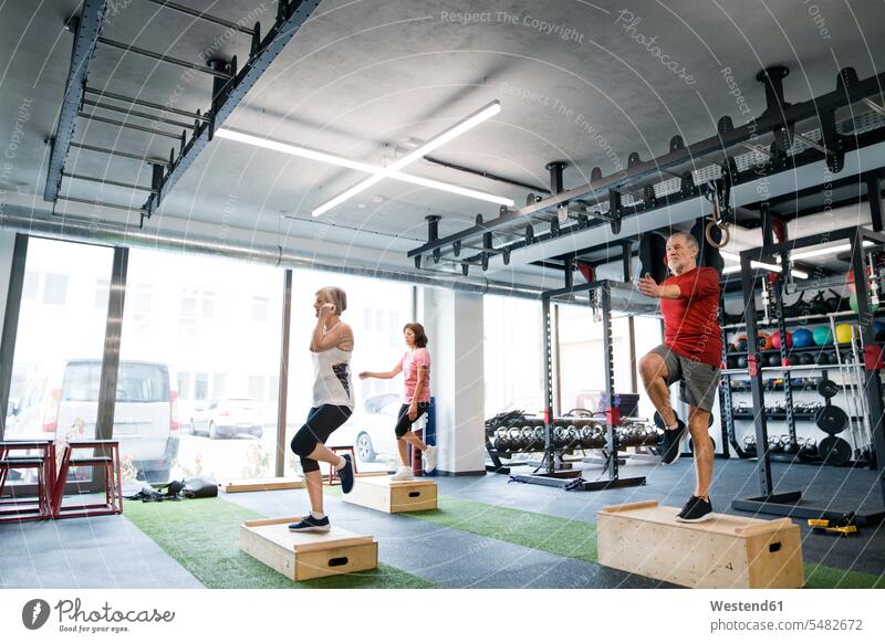 Group of fit seniors working out with wooden boxes in gym senior adults old active box jump Jump Box box jumps Box Jumping gyms Health Club exercising exercise
