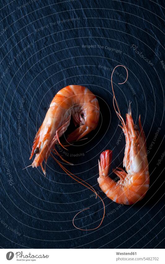 Boiled prawns on black slate boiled cooked dark background seafood black background black backgrounds two objects 2 overhead view from above top view Overhead