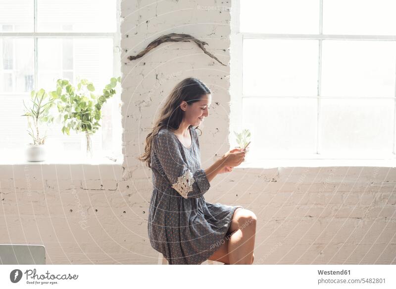 Smiling young woman looking on cell phone in a loft window windows females women sitting Seated mobile phone mobiles mobile phones Cellphone cell phones Adults