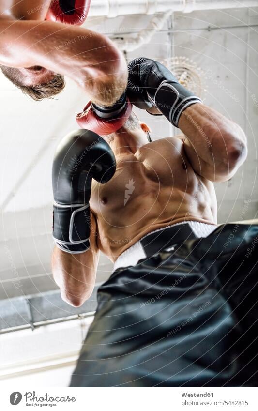 Low angle view of boxer hitting opponent boxing fight boxers martial arts combative sport sports indoors indoor shot Interiors indoor shots interior view