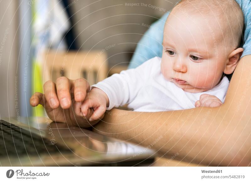 Father with baby son using laptop at home infants nurselings babies father pa fathers daddy dads papa Laptop Computers laptops notebook people persons