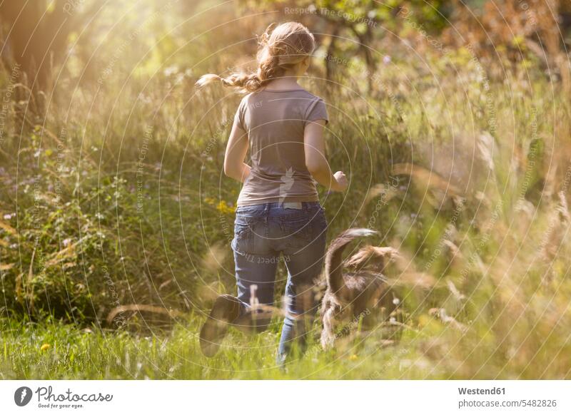 Back view of young woman running after her dog on a meadow females women mongrel mongrels dogs Canine Adults grown-ups grownups adult people persons human being