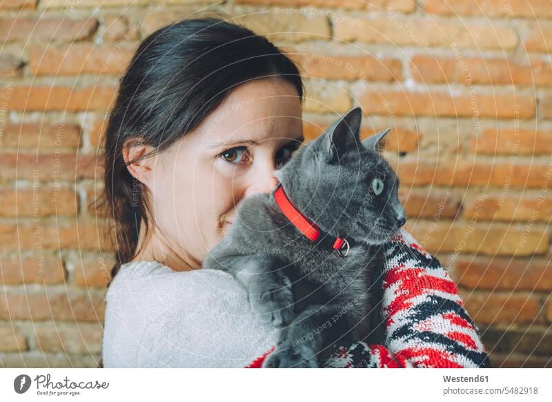Woman with Russian Blue on her shoulder cat cats woman females women pets animal creatures animals Adults grown-ups grownups adult people persons human being