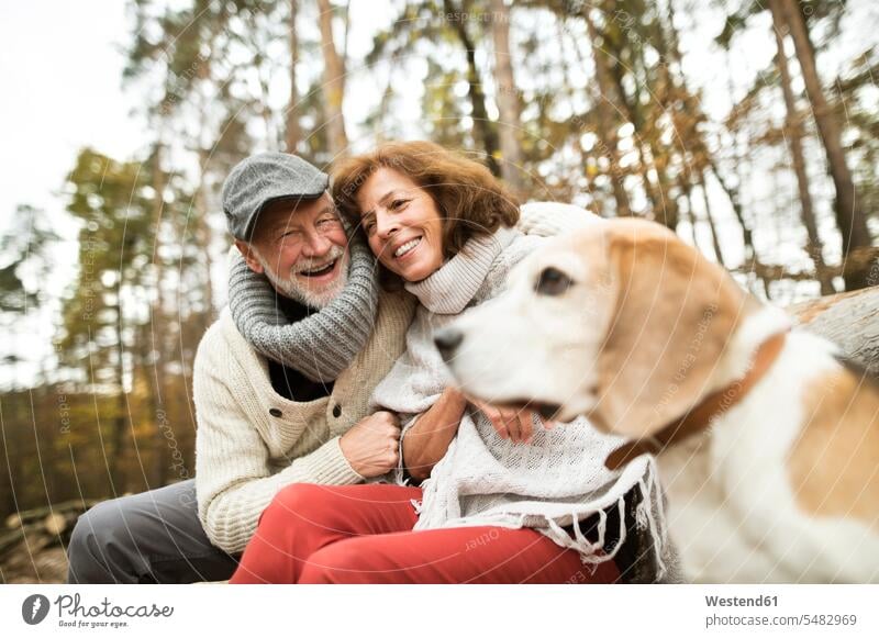 Happy senior couple with dog in nature elder couples senior couples adult couple adult couples twosomes partnership people persons human being humans