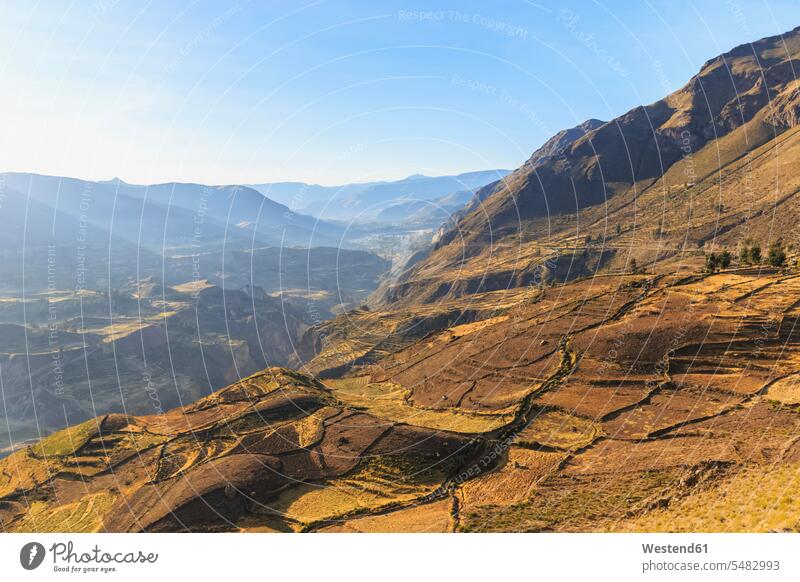Peru, Andes, Chivay, Colca Canyon, harvested cornfields nobody cultivation growing mountain mountains rural scene Non Urban Scene Panorama nature natural world