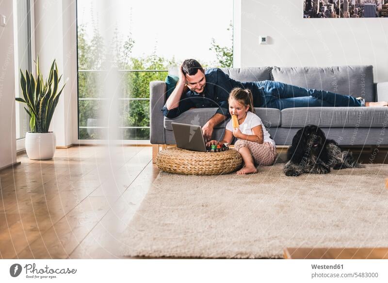 Father using laptop at home with his little daughter dog dogs Canine father pa fathers daddy dads papa learning Laptop Computers laptops notebook daughters pets