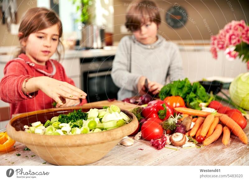 Boy and girl chopping vegetables in the kitchen cutting Vegetable Vegetables preparing Food Preparation preparing food friends prepare cooking foods