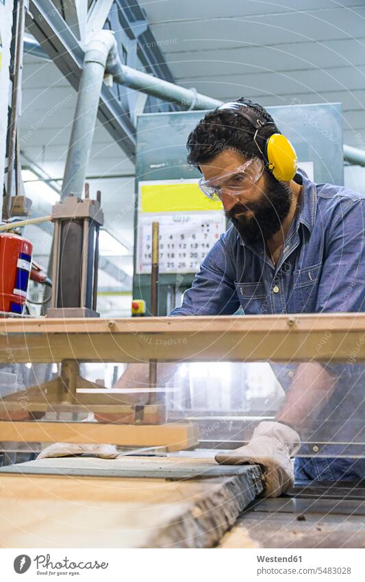 Craftsman with hearing protection, gloves and safety glasses using an industrial circular saw in a factory board boards sawmill working At Work men males