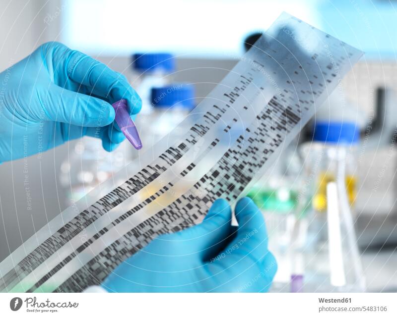 Scientist holding a DNA sample alongside the results on a autoradiogram in a laboratory scientist Deoxyribonucleic Acid test testing science sciences scientific