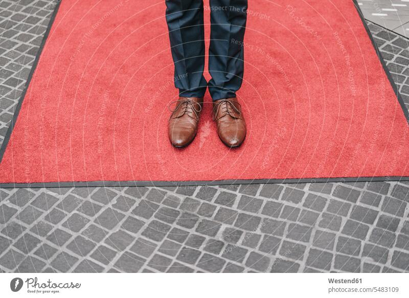 Businessman standing on red carpet, partial view Business man Businessmen Business men business people businesspeople business world business life males leg