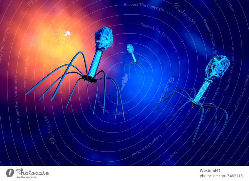 3D rendered Illustration of a anatomically correct convergence to a group of bacteriophage viruses research Macro Macro photography three dimensional