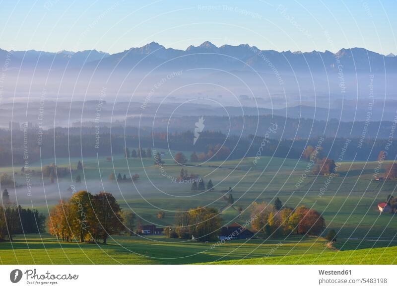 Germany, Allgaeu, autumnal landscape at morning mist scenics sceneries scenery scenic view tranquility tranquillity Calmness autumn colours fall colors