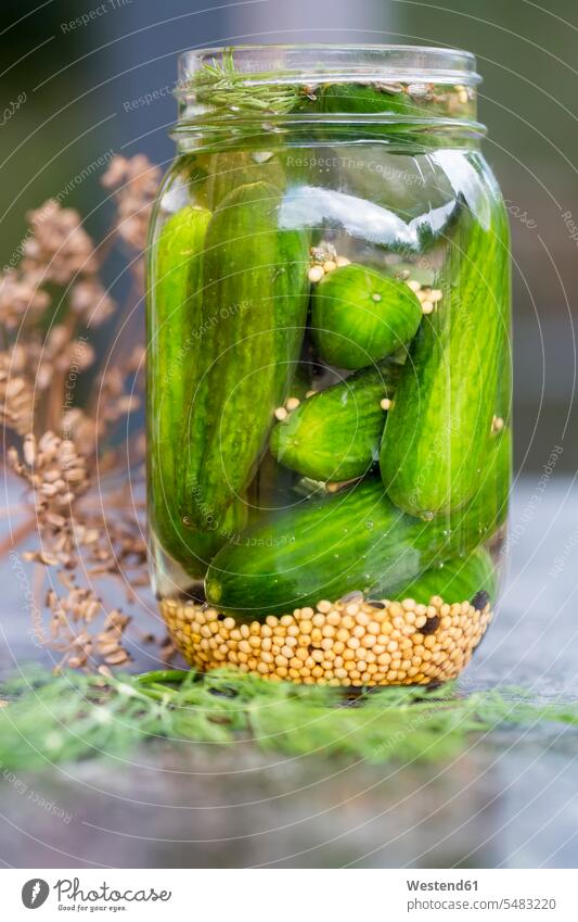 Pickled gherkins in jar with mustard seeds, fennel seeds and dill food and drink Nutrition Alimentation Food and Drinks healthy eating nutrition preserved