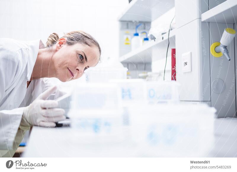 Scientist in lab examining samples science sciences scientific swatch Swatches Samples woman females women female scientists checking examine laboratory Adults