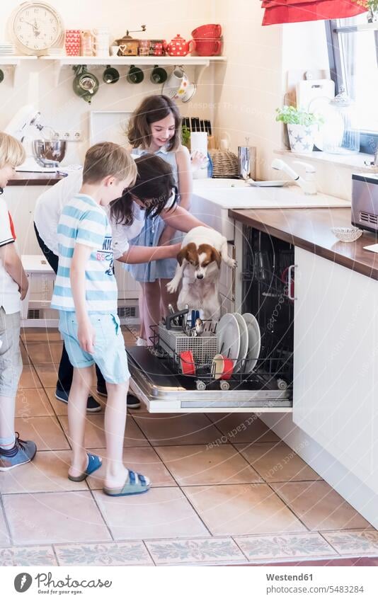 Family and dog in kitchen at dishwasher domestic kitchen kitchens mother mommy mothers ma mummy mama family families dogs Canine parents people persons
