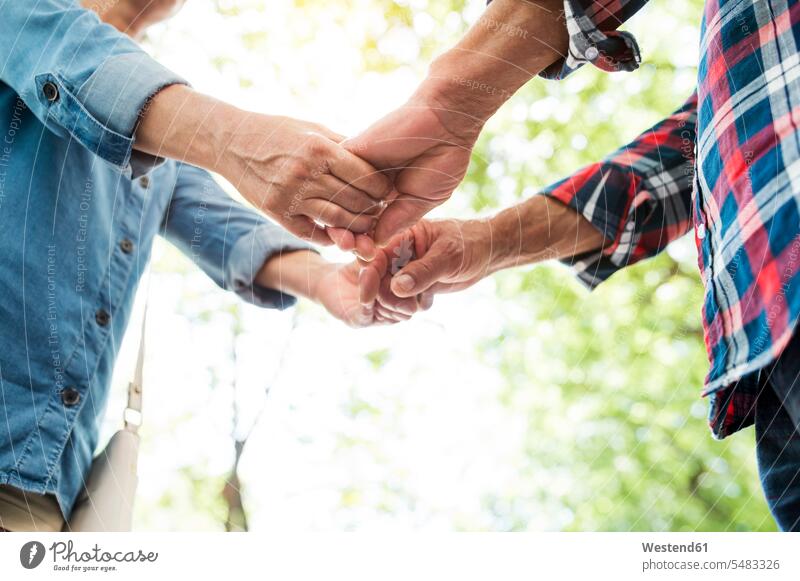 Senior couple holding hands in nature, partial view twosomes partnership couples human hand human hands people persons human being humans human beings standing