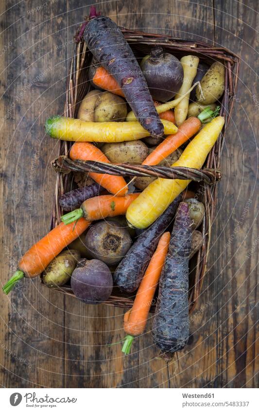 Winter vegetables, carrot, beetroot, potato and parsnip in basket uncooked potatoes raw rich in vitamines rustic winter vegetables abundance Plentiful dark wood
