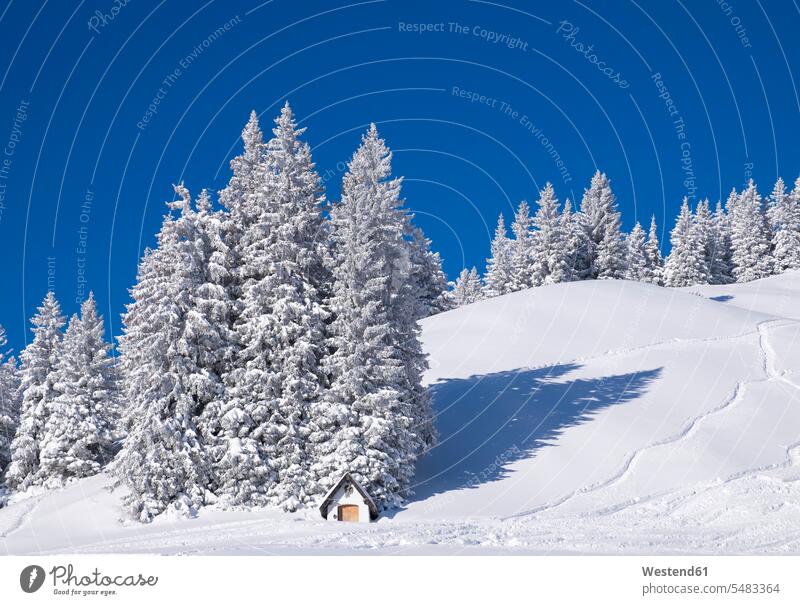 Germany, Upper Bavaria, Lenggries, chapel in the ski area at Brauneck winter hibernal clear sky copy space cloudless chapels Ski Area ski-region skiing region