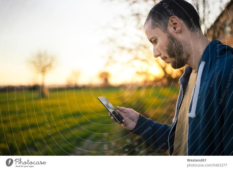Man checking the smartphone in a green field at sunset caucasian caucasian ethnicity caucasian appearance european Connection connected Connections connectivity
