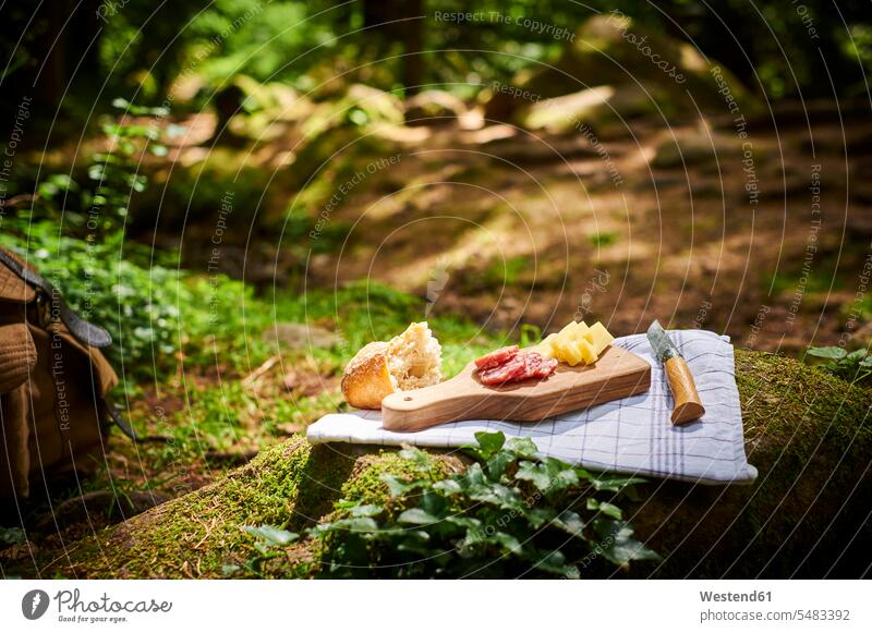 Snack with bread, cheese and salami in the woods food and drink Nutrition Alimentation Food and Drinks hearty savoury food lusty wooden board wooden boards