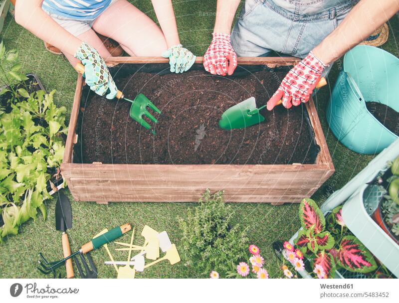 Couple preparing soil to plant vegetables in the container of their urban garden gardens domestic garden planting couple twosomes partnership couples people