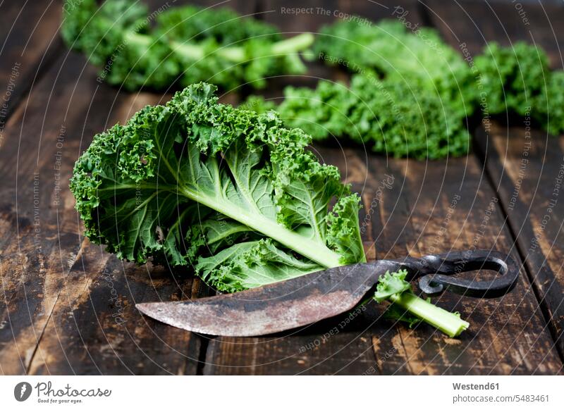 Kale leaves on dark wood nobody knife knives studio shot studio shots studio photograph studio photographs healthy eating nutrition close-up close up closeups