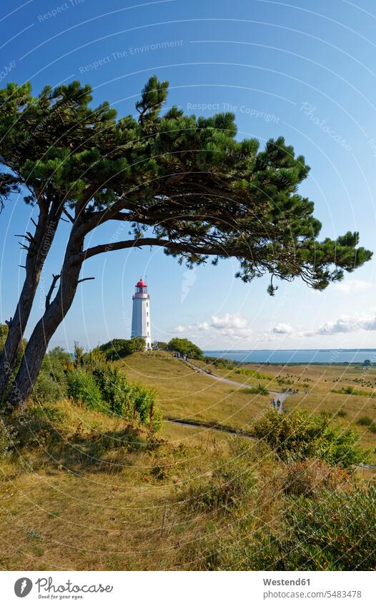 Germany, Hiddensee, Dornbusch, view to landscape and lighthouse Hill hilly Hills travel destination travel destinations Tourist Destination nature natural world