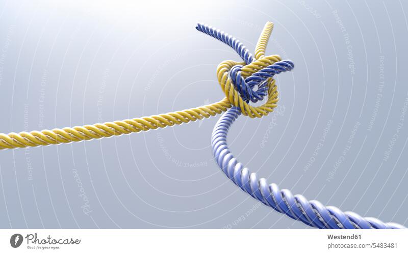 Two knotted cords, 3D Rendering nobody symbolical picture Symbolism blue Trust Confidence Faith yellow sunlight Sunlit intertwined various different security