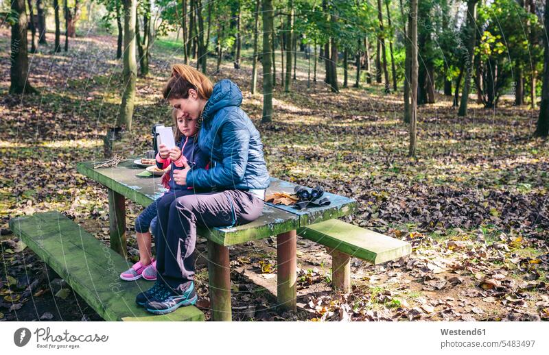 Mother and little daughter sitting at picnic place in the forest playing with smartphone daughters mother mommy mothers mummy mama autumn fall child children