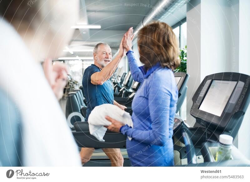 Group of fit seniors on treadmills working out in gym gyms Health Club exercising exercise training practising senior adults old fitness sport sports Adults