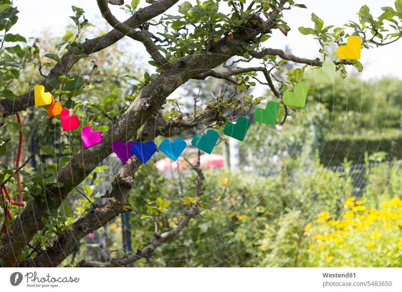 Heart-shaped garland made of paper hanging in garden hanging up string strings Germany day daylight shot daylight shots day shots daytime DIY do-it-yourself
