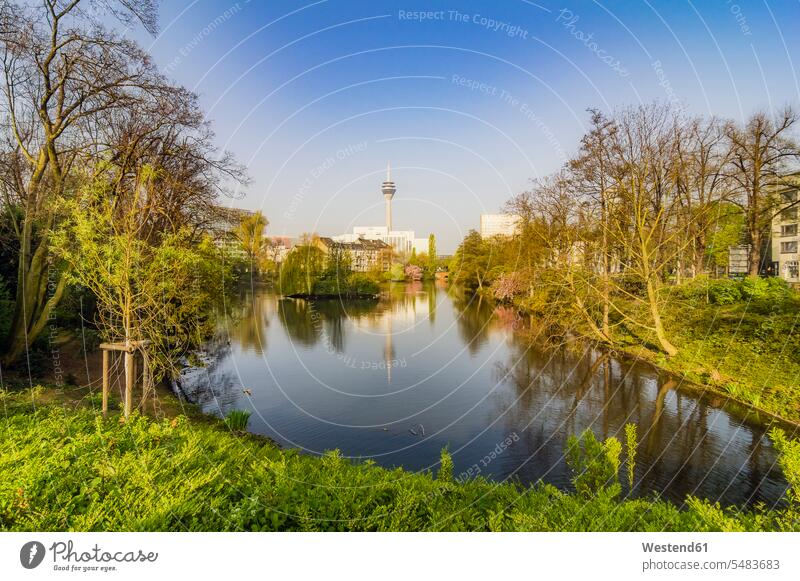 Germany, Duesseldorf, Schwanenspiegel, cityscape with Rhine Tower View Vista Look-Out outlook Dusseldorf blue sky blue skies clear sky Travel Tree Trees