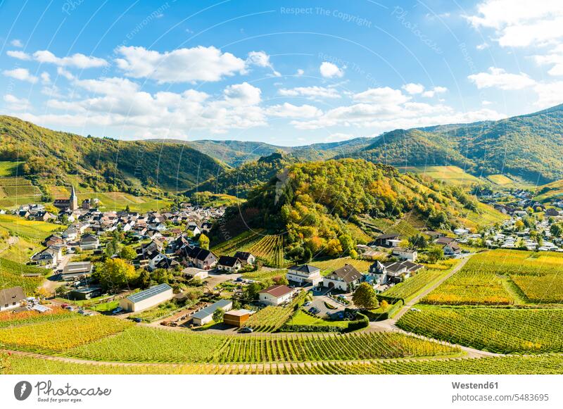 Germany, Rhineland-Palatinate, Ahr Valley, Maischoss, wine village beauty of nature beauty in nature day daylight shot daylight shots day shots daytime
