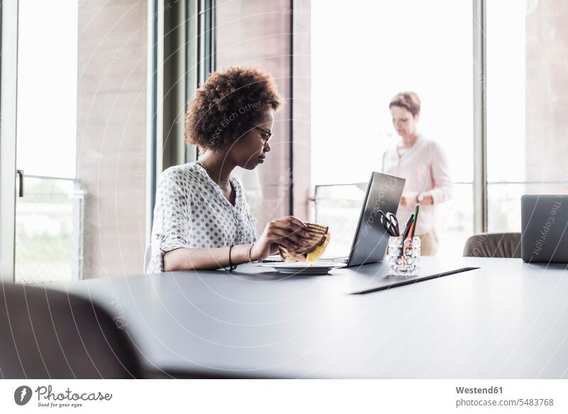 Businesswoman sitting at desk holding sandwich while looking at laptop workplace work place place of work females women Adults grown-ups grownups adult people