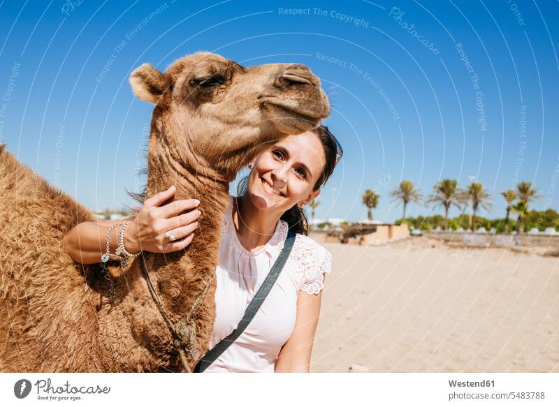 Morocco, Tanger, portrait of smiling woman with baby camel on the beach portraits smile beaches camels females women mammal mammalian mammals mammalians animal