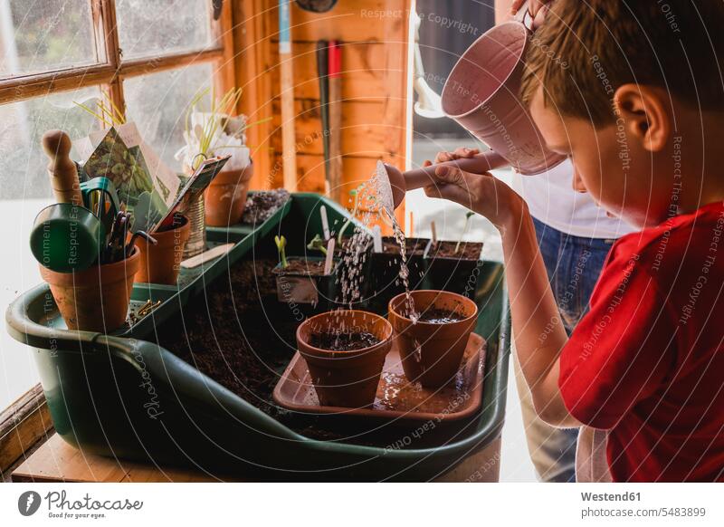 Father and son watering seeds gardening yardwork yard work father pa fathers daddy dads papa sons manchild manchildren parents family families people persons