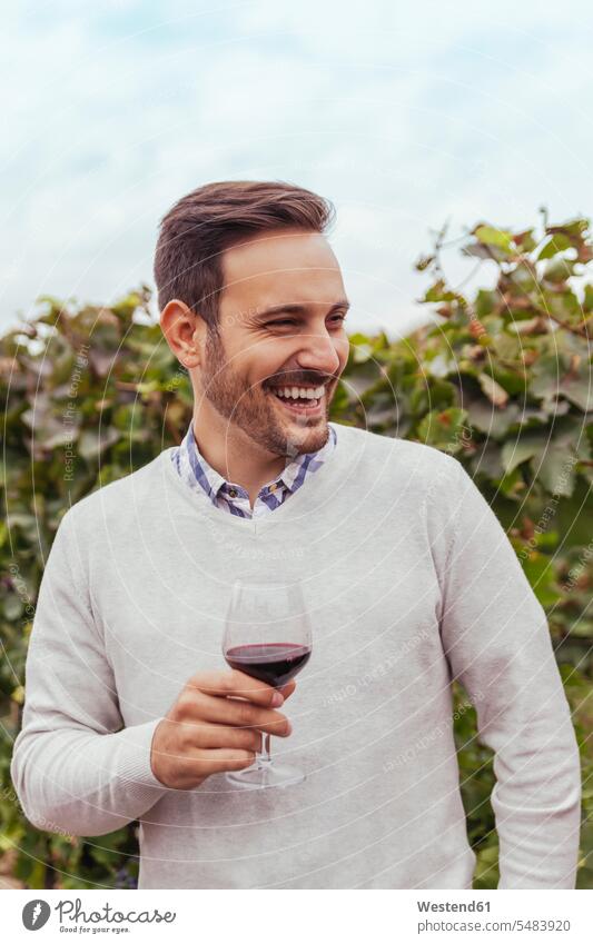 Happy young man in a vineyard holding glass of red wine laughing Laughter Red Wine Red Wines men males positive Emotion Feeling Feelings Sentiments Emotions