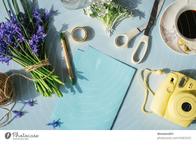 Sheets of paper, camera, scissors, cup of coffee and spring flowers on light blue background workplace work place place of work cut flowers Cutflowers string