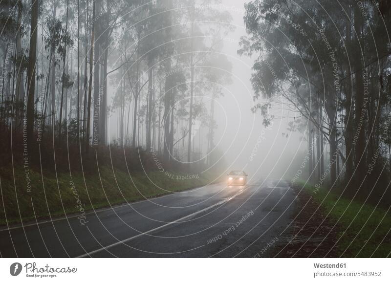 Spain, Galicia, Ferrol, Road in a forest with fog, on the road runs a car with lights nobody miserable sight weather conditions poor sight Road Safety driving